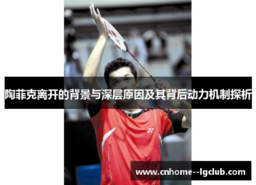 陶菲克离开的背景与深层原因及其背后动力机制探析