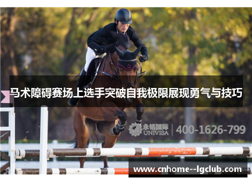 马术障碍赛场上选手突破自我极限展现勇气与技巧
