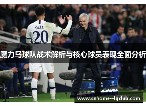 魔力鸟球队战术解析与核心球员表现全面分析