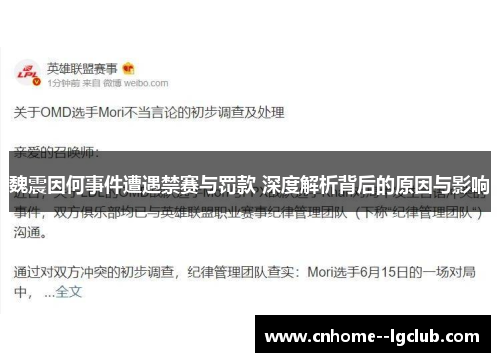魏震因何事件遭遇禁赛与罚款 深度解析背后的原因与影响