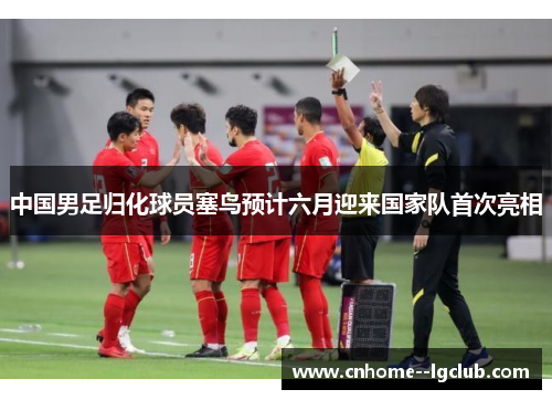 中国男足归化球员塞鸟预计六月迎来国家队首次亮相