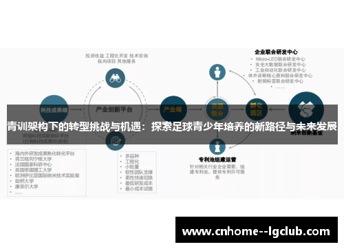 青训架构下的转型挑战与机遇：探索足球青少年培养的新路径与未来发展